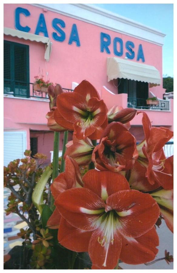 Hotel Casa Rosa Sea & Spa Sant'Angelo  Extérieur photo